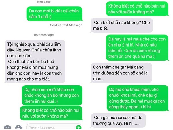 Lam dau o My, Thanh Thao hanh phuc vi me chong 81 tuoi cuc tam ly-Hinh-4