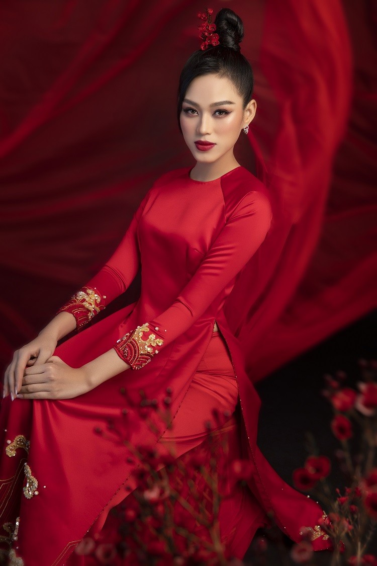 Can ban thiet ke trang phuc an tuong Do Thi Ha thi Miss World-Hinh-8