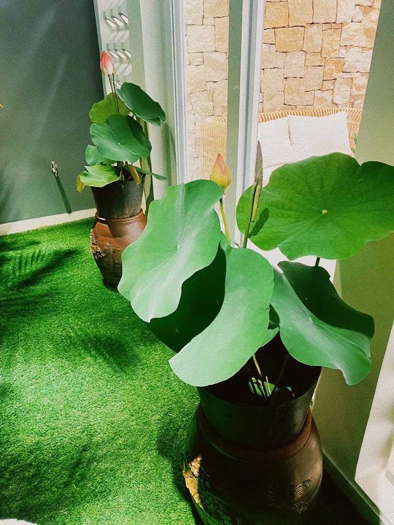 Cặp vợ chồng ở TP.HCM mua nhà hơn 10 tỷ ở tuổi 26 - Hình 27 Cap vo chong o TP.HCM mua nha hon 10 ty o tuoi 26-Hinh-27