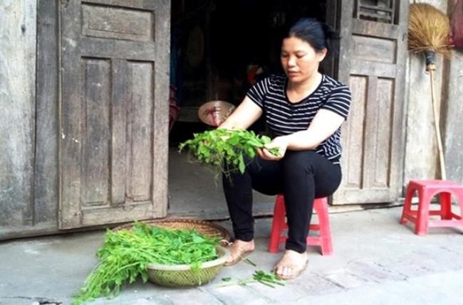 Nha giau Viet san lung “rau nha ngheo”, khong trong cung tu moc xum xue-Hinh-5