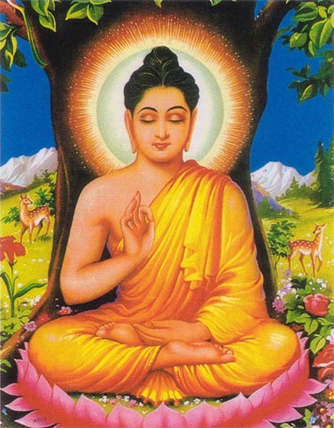 Phật Thích Ca Và Phật A Di Đà Khác Nhau Thế Nào?