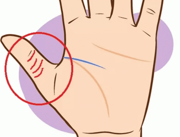 4 dấu hiệu này xuất hiện trong lòng bàn tay là bạn sẽ có nguồn ti