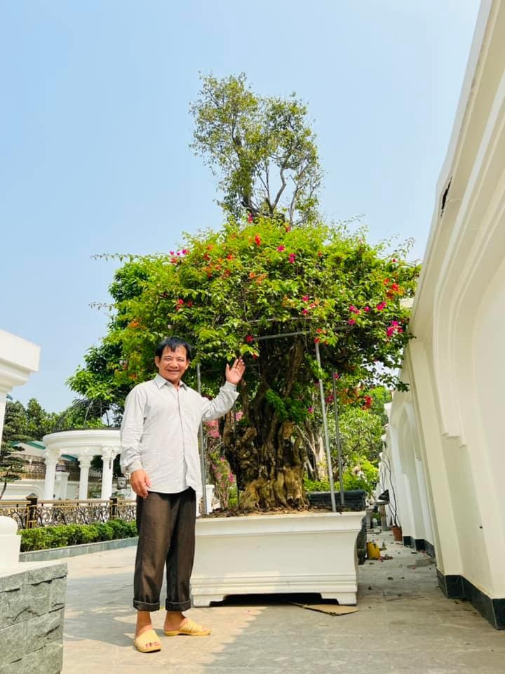 Man nhan vuon hoa ruc ro trong biet thu moi cua Quang Teo-Hinh-2