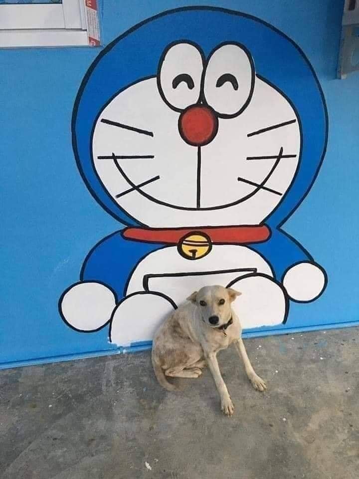 Ngoi nha tran ngap Doraemon giua rung khien netizen phat cuong-Hinh-8