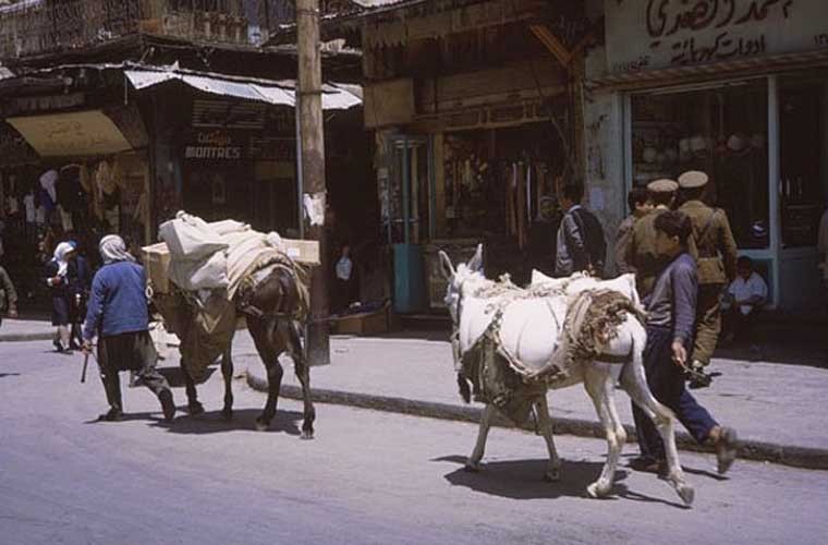 15 anh hiem ve cuoc song yen binh o Damascus nam 1965-Hinh-7