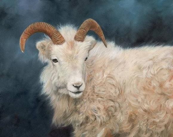 Qua Ram thang 7: 3 con giap van may tang vot, tai loc len huong-Hinh-2