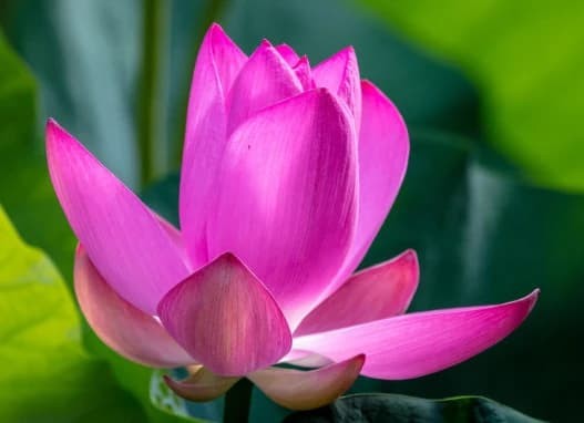 Sinh đúng ngày âm này vừa có tài vừa kiếm tiền đỉnh nhất thiên hạ Sinh dung ngay am nay vua co tai vua kiem tien dinh nhat thien ha
