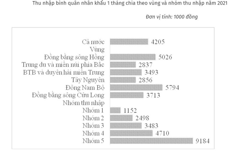 Tien vao vi dan Viet chi 4,2 trieu/thang, lam sao du chi tieu?-Hinh-2