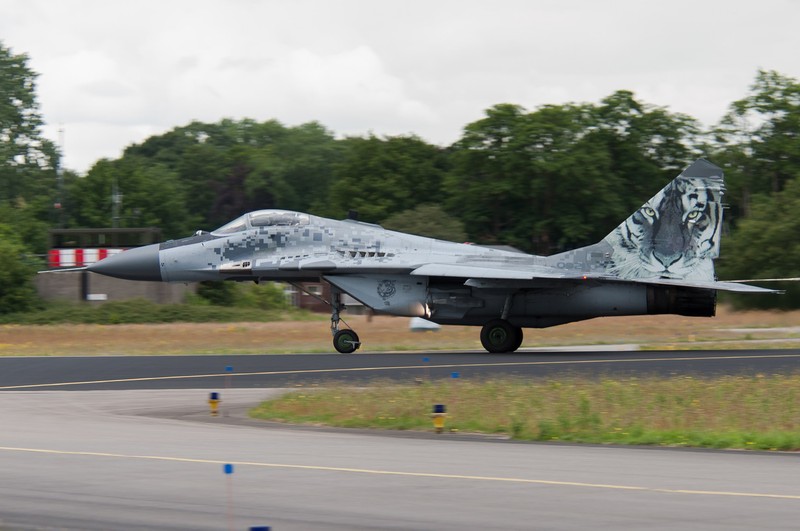 Slovakia: Khong co chuyen chuyen giao MiG-29 cho Ukraine-Hinh-13