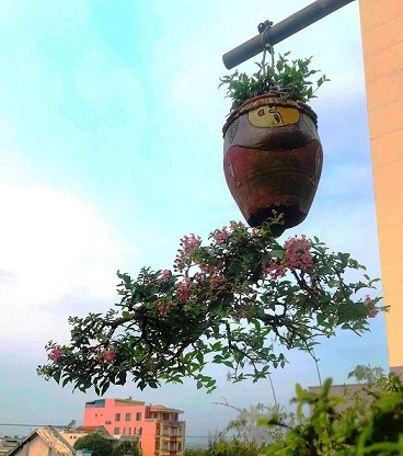 Ngam dan bonsai moc nguoc cuc doc la cua lao gan xu Quang-Hinh-2