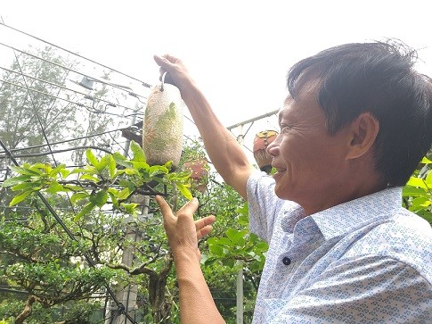 Ngam dan bonsai moc nguoc cuc doc la cua lao gan xu Quang-Hinh-6
