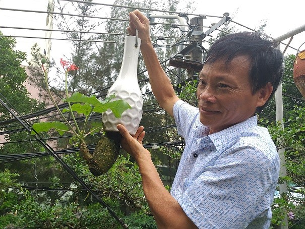 Ngam dan bonsai moc nguoc cuc doc la cua lao gan xu Quang-Hinh-7