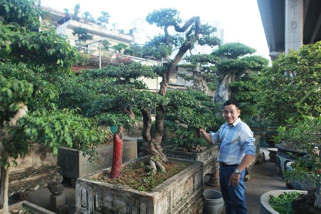 Kham pha cay hai chau bonsai co dang the doc dao-Hinh-2