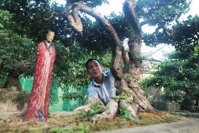 Kham pha cay hai chau bonsai co dang the doc dao-Hinh-4