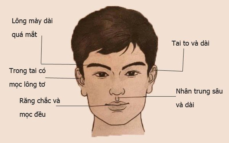 Nam hay nữ nếu sở hữu 3 nét tướng này cả đời sống vương giả
