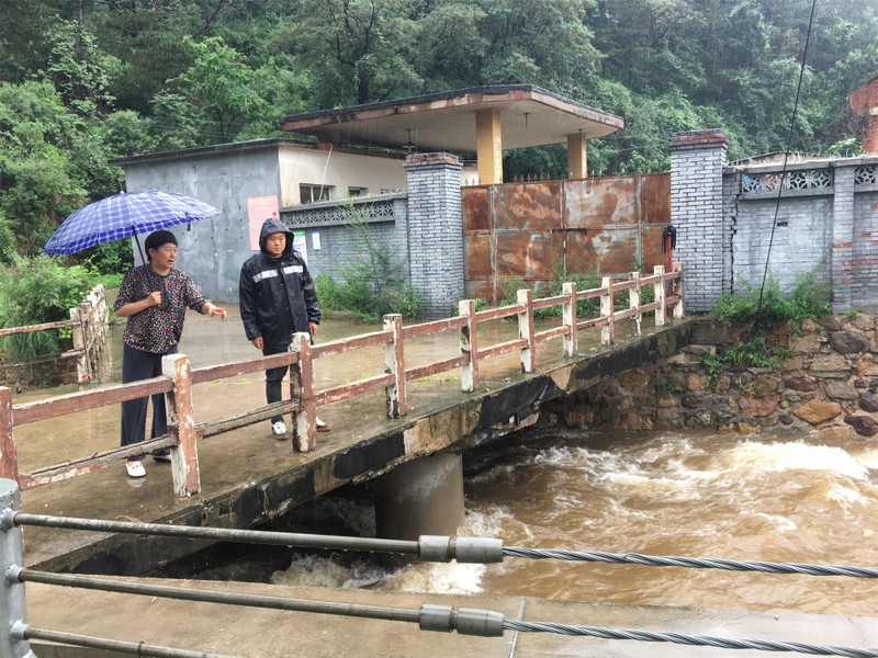 Rắn lũ lượt kéo đến khiến dân làng hoảng sợ, lý do kinh ngạc