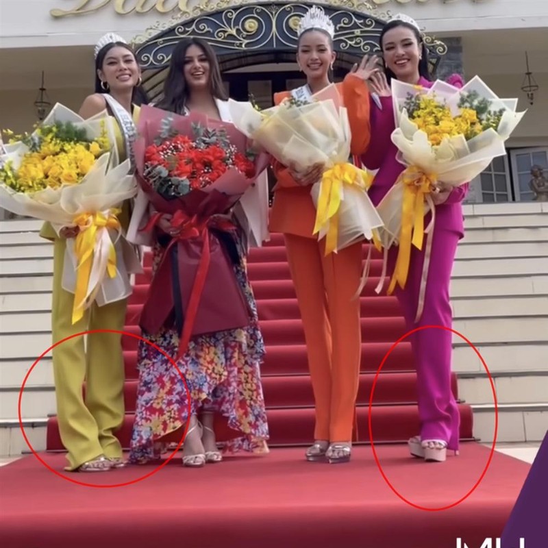 Netizen doi giai cuu Top 3 Miss Universe VN vi trang phuc sen sua-Hinh-5