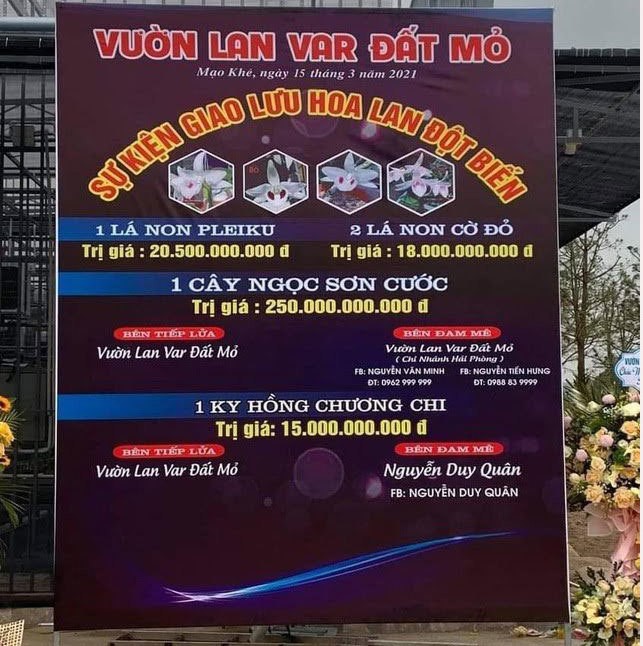 Ly do kho xu ly vu ban lan dot bien 250 ty o Quang Ninh