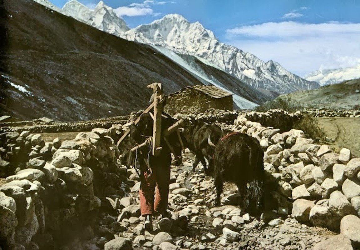 To mo cuoc song huyen bi tren day Himalaya thap nien 1970-Hinh-7