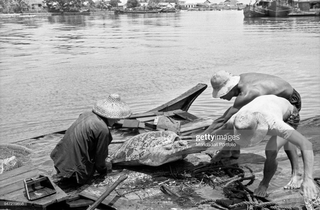 “Lang chai” Singapore thap nien 1960 qua ong kinh quoc te (2)-Hinh-10