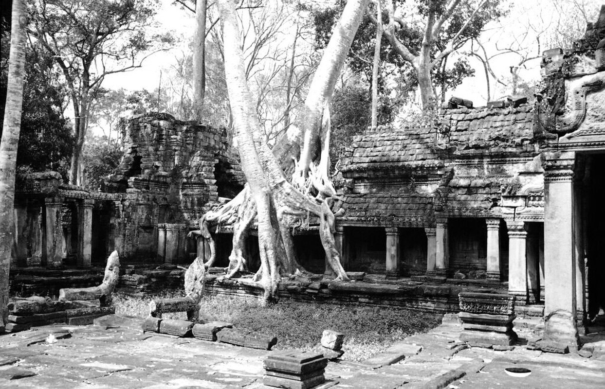 Anh hiem co kho tim ve phe tich Angkor thap nien 1930-Hinh-15