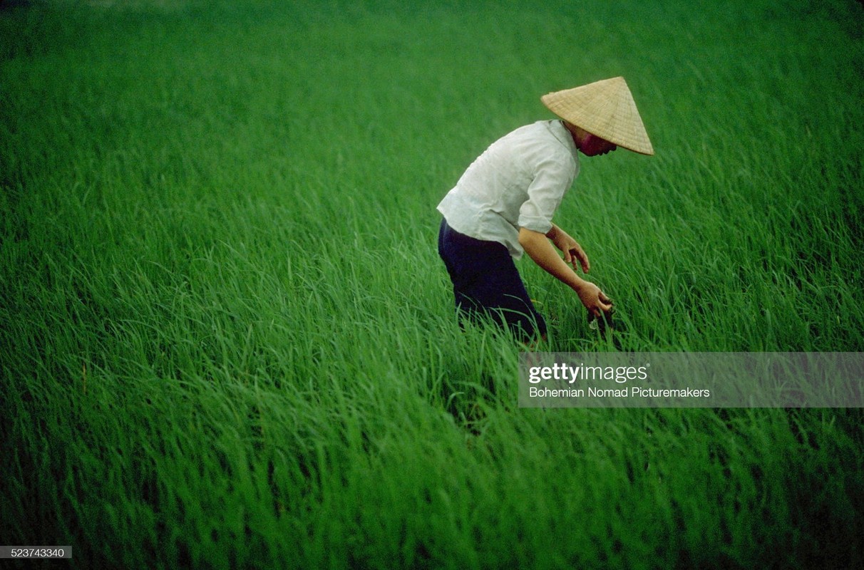 Loat anh khong the khong xem ve Ha Noi nam 1991-Hinh-11