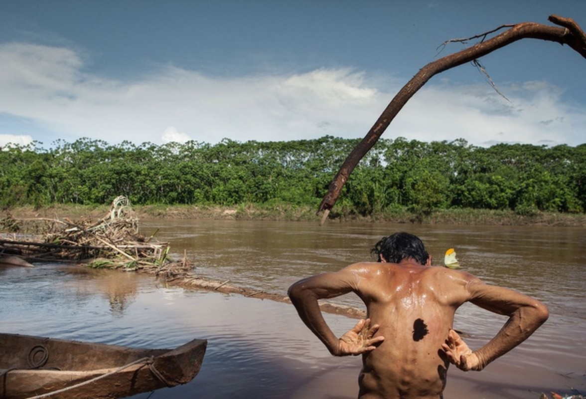 Giat minh mon an “di thuong” cua bo lac trong rung gia Amazon