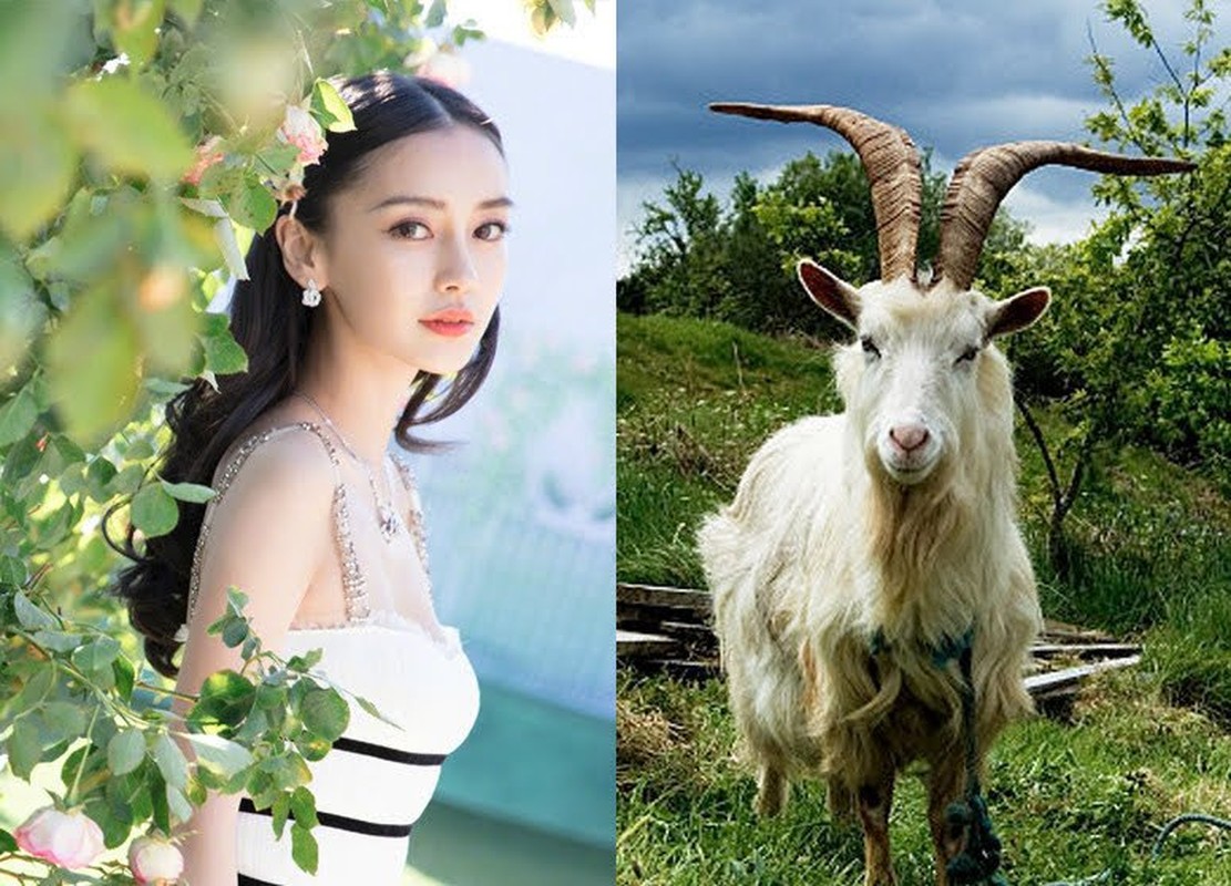 3 con giáp song hỷ lâm môn, tiền tài thăng tiến 120 ngày tới 3 con giap song hy lam mon, tien tai thang tien 120 ngay toi