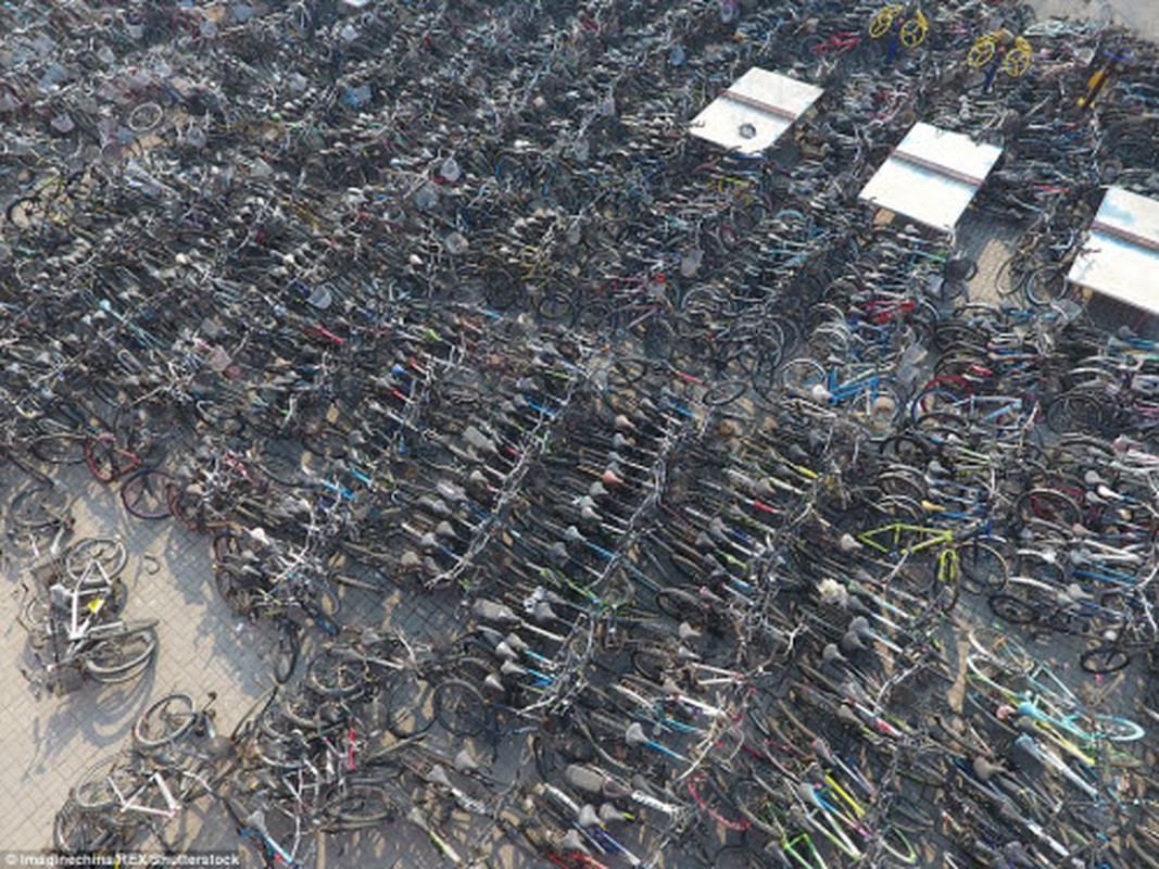Nghĩa địa xe đạp ở Trung Quốc