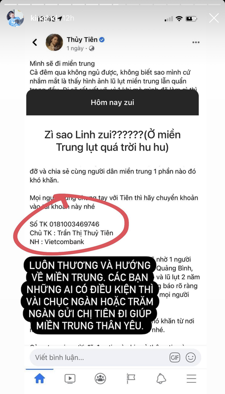 Linh Ngoc Dam bi anti-fan ca khia khi keu goi ung ho mien Trung-Hinh-2