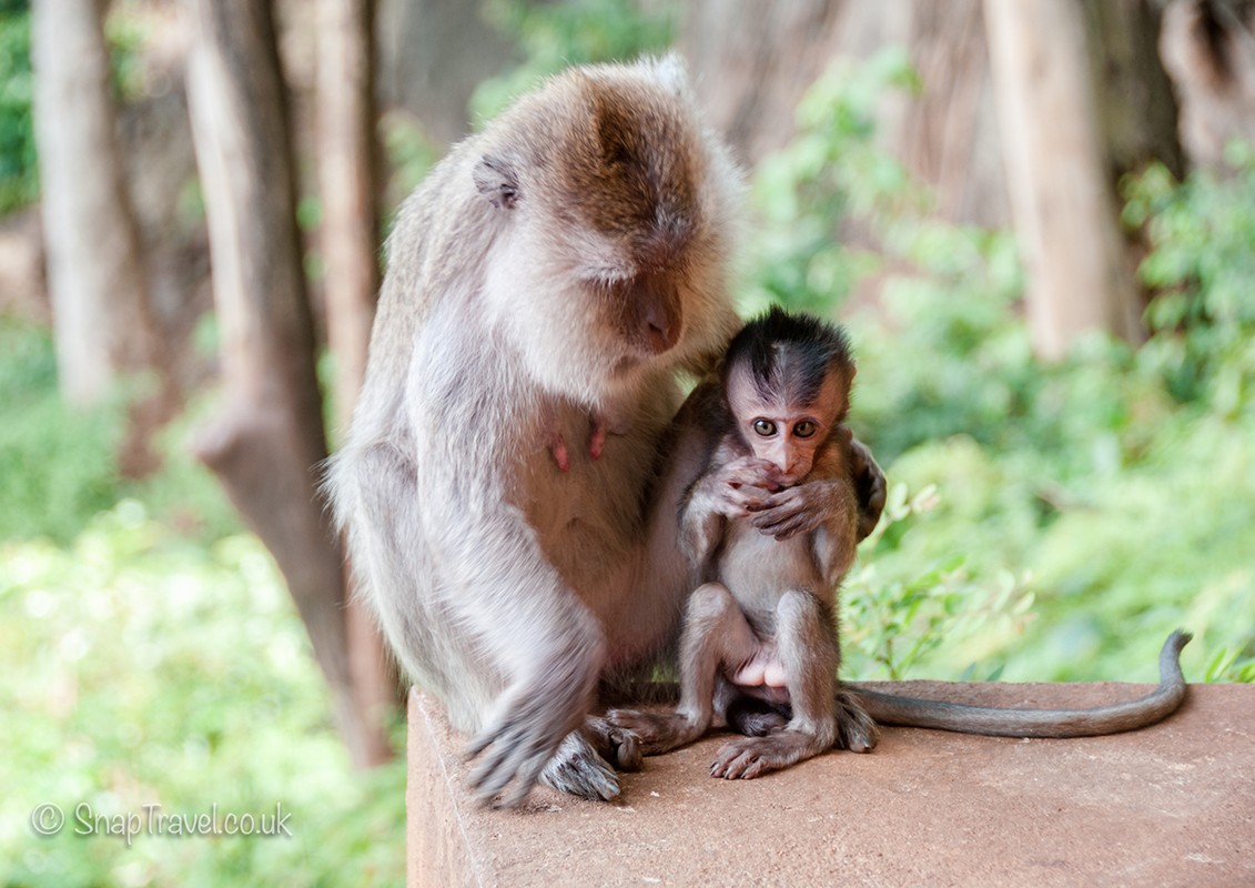 Du doan ngay 27/5/2021 cho 12 con giap: Mui tung quan, Than thu nhap dang ghen ti-Hinh-9