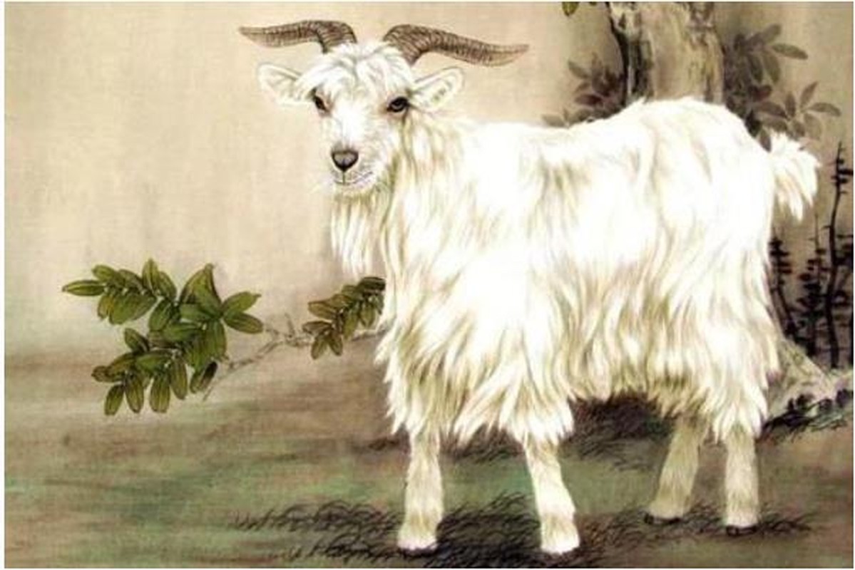 4 con giáp tháng 8 hết nghèo, tháng 9 bội thu, tháng 10 giàu sụ - Hình 6 4 con giap thang 8 het ngheo, thang 9 boi thu, thang 10 giau su-Hinh-6