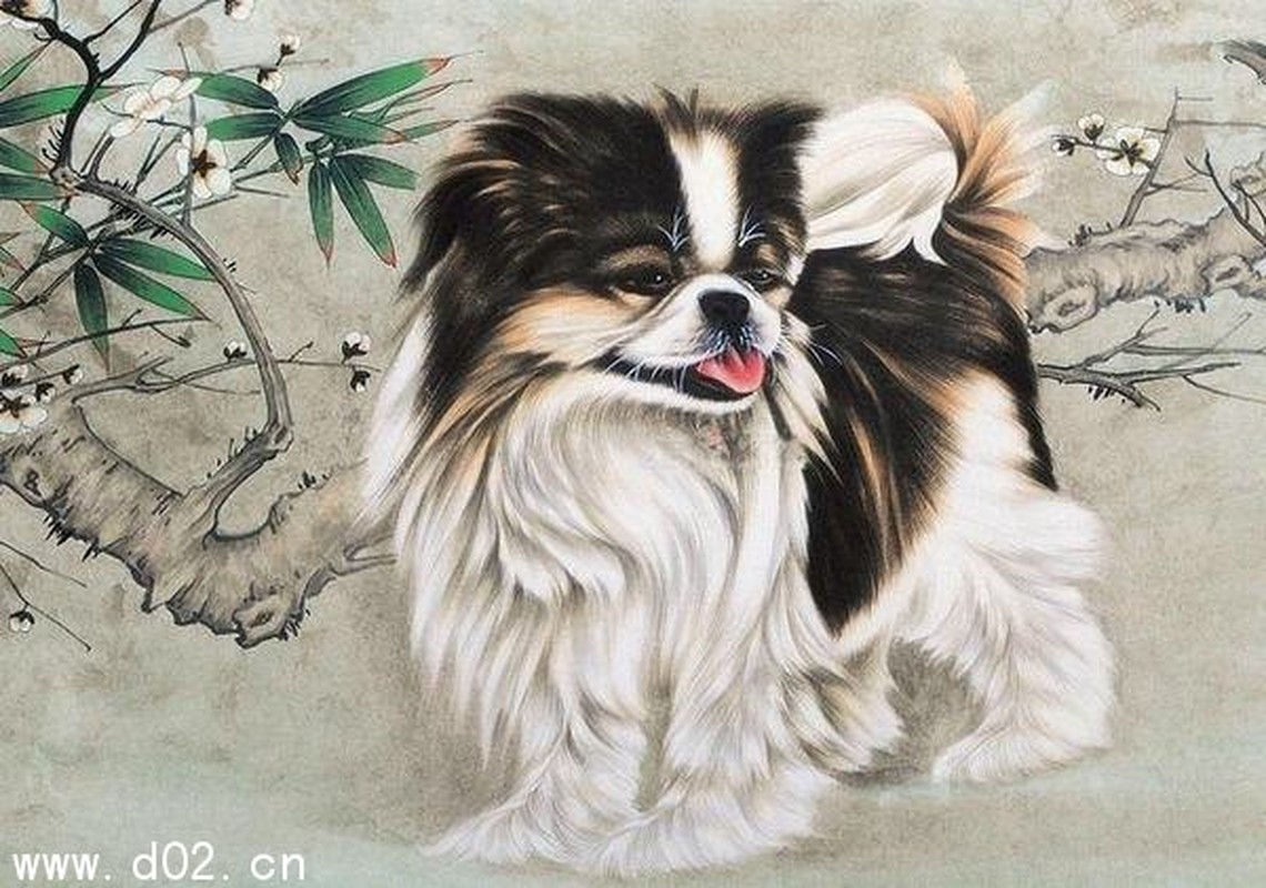 Dự đoán ngày mới 15/08/2022 cho 12 con giáp: Tỵ bội thu, Sửu trục trặc - Hình 11 Du doan ngay moi 15/08/2022 cho 12 con giap: Ty boi thu, Suu truc trac-Hinh-11