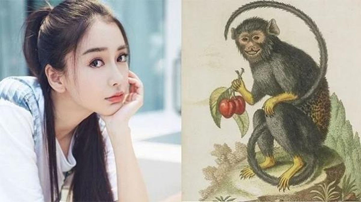 Ba con giáp Trời thương, cuối tháng 8 trúng số, đầu tháng 9 phát tài - Hình 5 Ba con giap Troi thuong, cuoi thang 8 trung so, dau thang 9 phat tai-Hinh-5