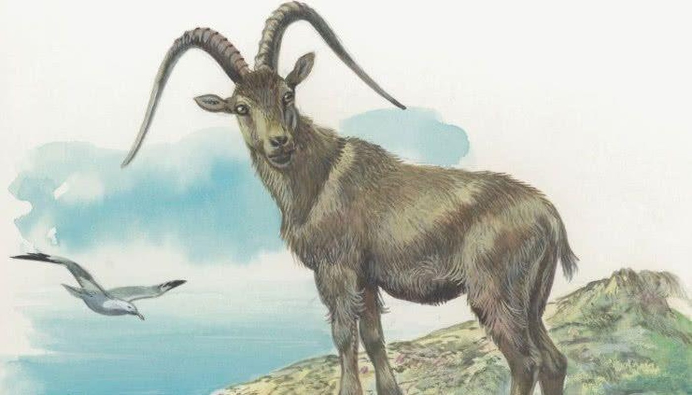 Dự đoán ngày mới 19/08/2022 cho 12 con giáp: Tỵ vượng phát, Hợi thị phi - Hình 8 Du doan ngay moi 19/08/2022 cho 12 con giap: Ty vuong phat, Hoi thi phi-Hinh-8
