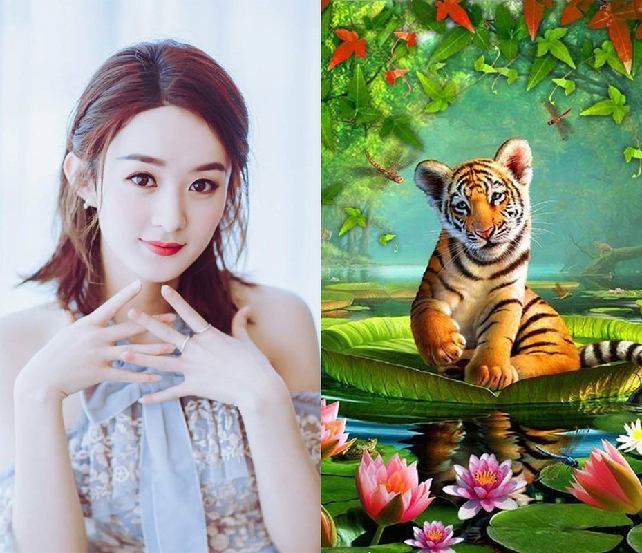 Sau tuổi 40: Bốn con giáp dương khí hội tụ, tiền về đầy tay - Hình 2 Sau tuoi 40: Bon con giap duong khi hoi tu, tien ve day tay-Hinh-2
