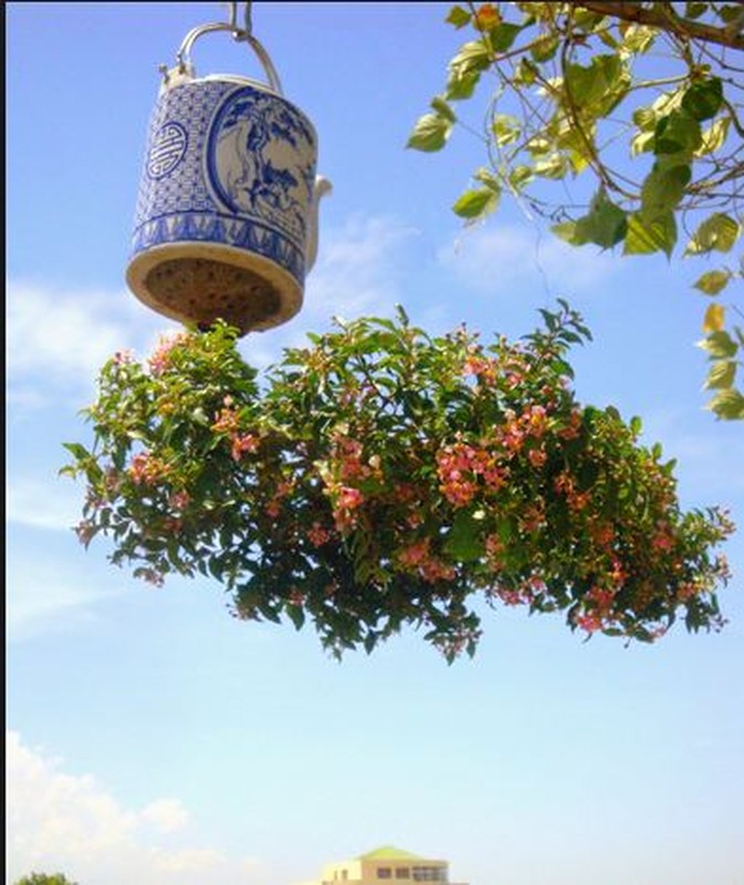 Ngam nhung chau bonsai mini trong nguoc dep me man-Hinh-4