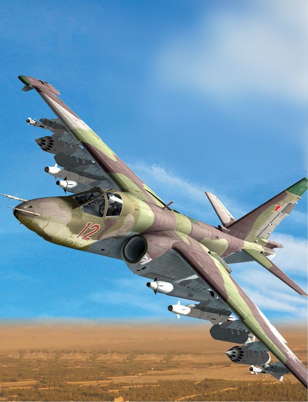 Su-25 của Nga và A-10 của Mỹ: Đâu mới là "xe tăng bay" thực sự? - Hình 12 Su-25 cua Nga va A-10 cua My: Dau moi la
