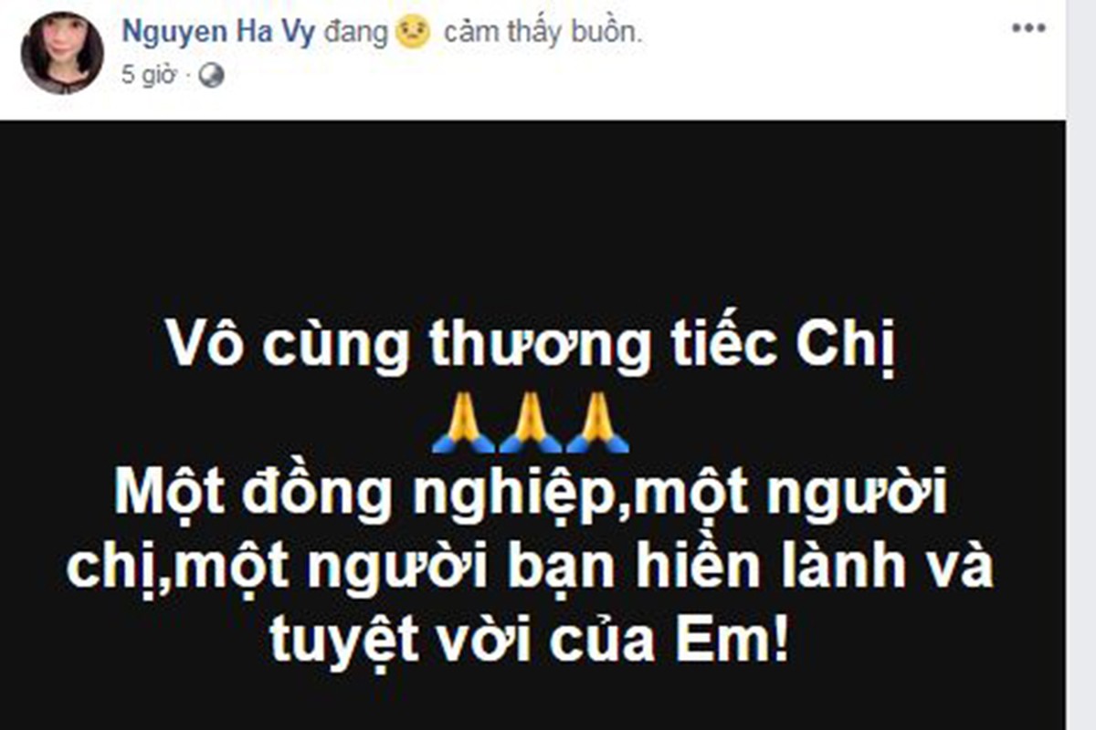 Nguoi mau Nhu Huong qua doi, Ha Ho - Ha Vy tiec thuong-Hinh-2
