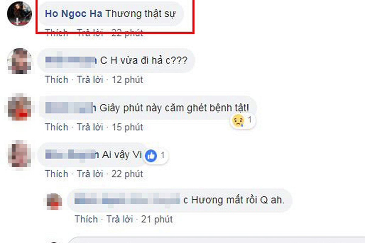 Nguoi mau Nhu Huong qua doi, Ha Ho - Ha Vy tiec thuong-Hinh-3