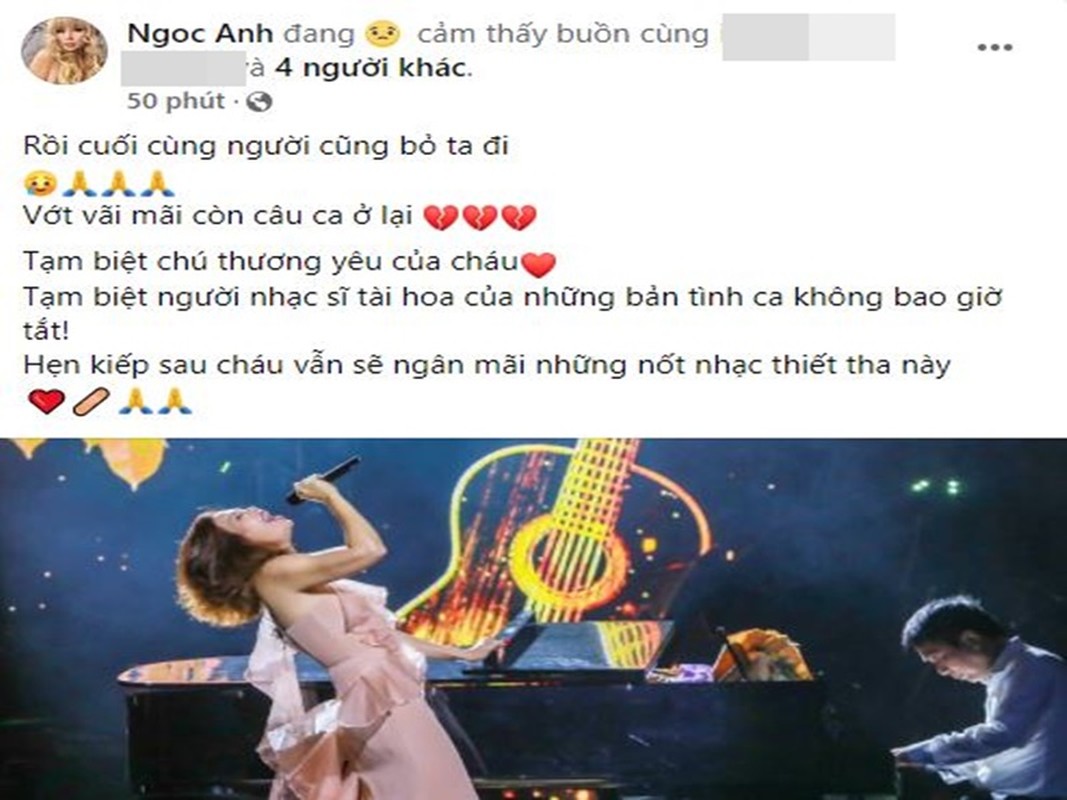 Sao Viet tiec thuong nhac si Phu Quang qua doi-Hinh-2
