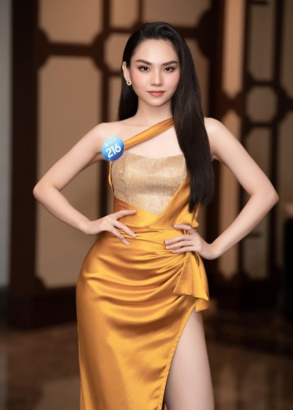 Chang duong dang quang Miss World Vietnam cua Huynh Nguyen Mai Phuong
