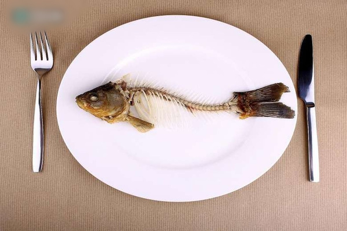 Kinh ngạc 4 bộ phận của cá quý như sâm lại bị vứt bỏ - Hình 5 Kinh ngac 4 bo phan cua ca quy nhu sam lai bi vut bo-Hinh-5