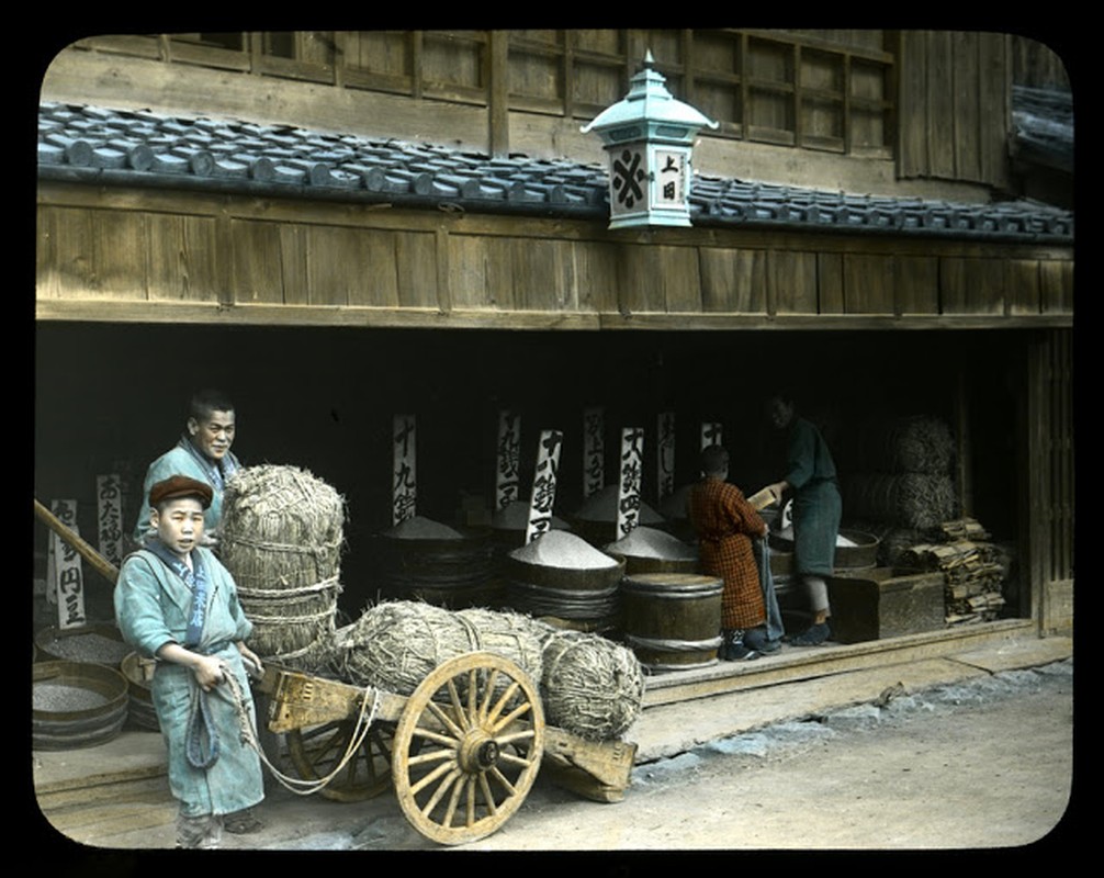 Anh mau cuc sac net Nhat Ban binh yen nhung nam 1900