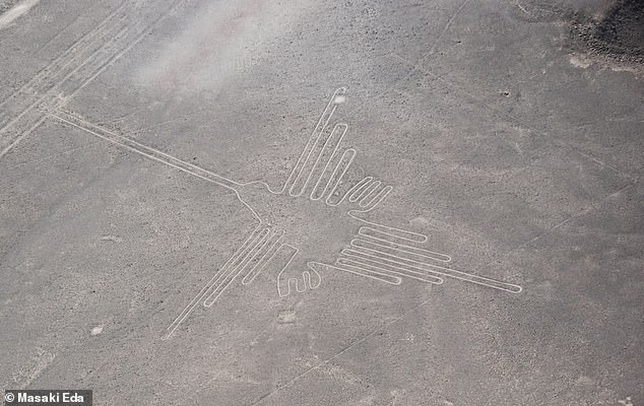 Cuc sot: Duong ke Nazca cuoi cung da duoc giai ma?