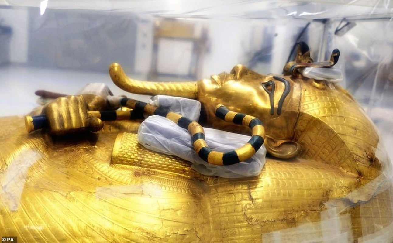 Bi mat cuc soc ve co quan tai cua pharaoh Tutankhamun-Hinh-6