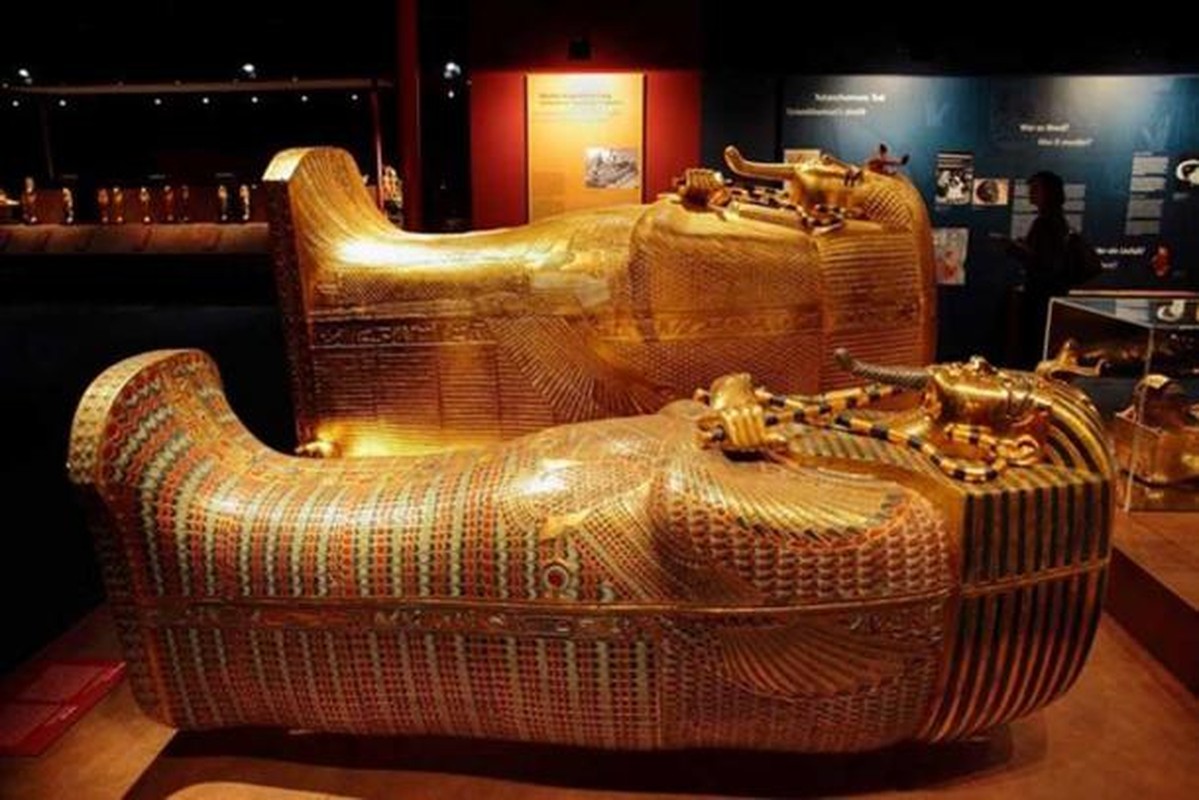 Bi mat cuc soc ve co quan tai cua pharaoh Tutankhamun-Hinh-9