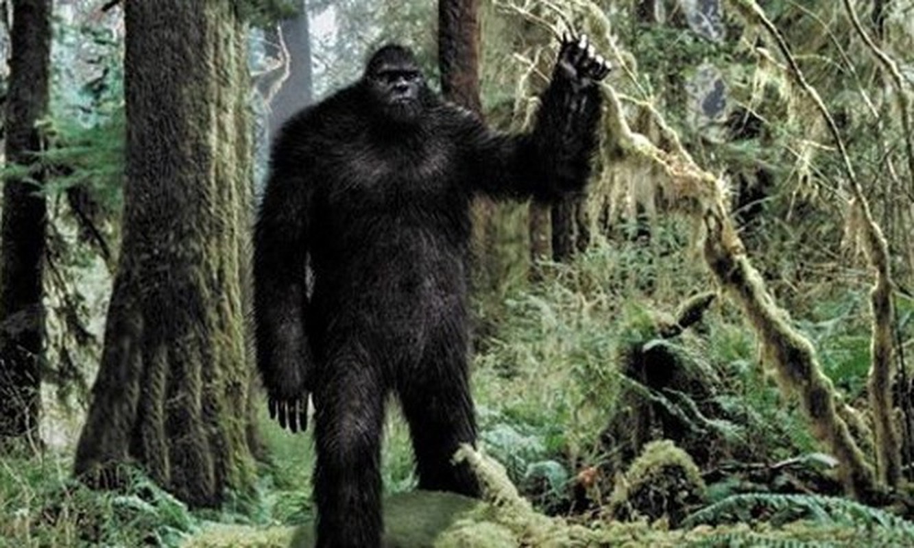 bigfoot là gì