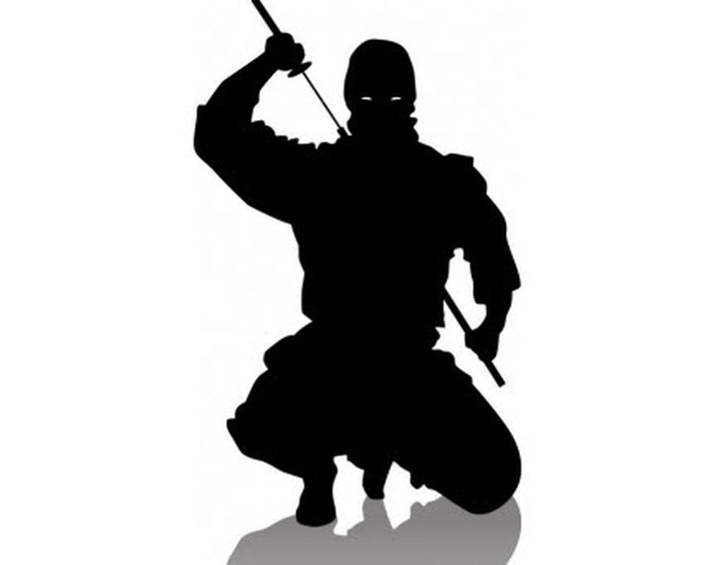 Cuoc doi huy hoang ninja “xuat quy nhap than” noi tieng Nhat Ban-Hinh-6