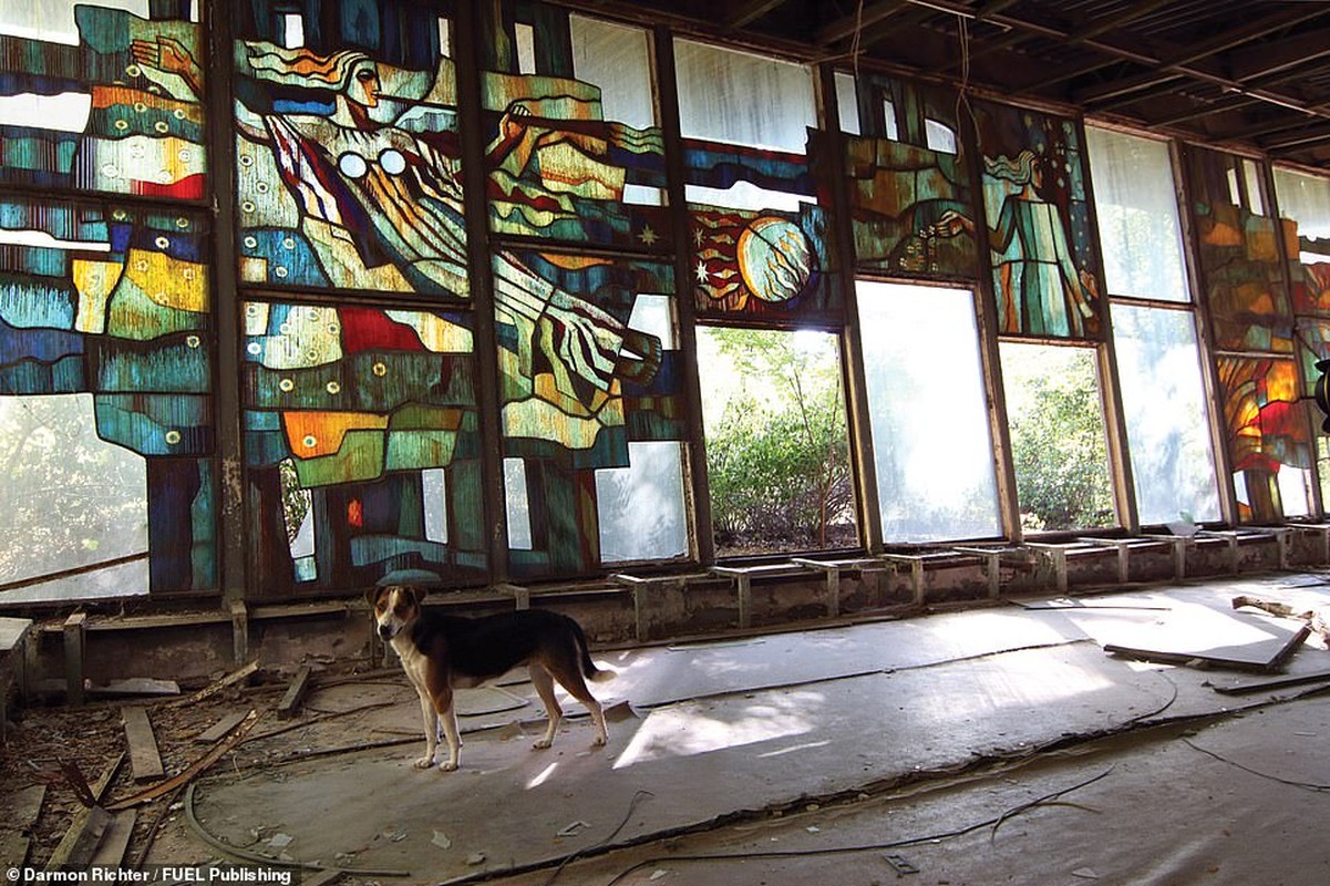 Ben trong “vung dat chet” Chernobyl sau 34 nam tham kich hat nhan-Hinh-8